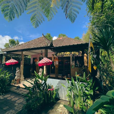 Homestay Sente Munduk Dış mekan fotoğraf