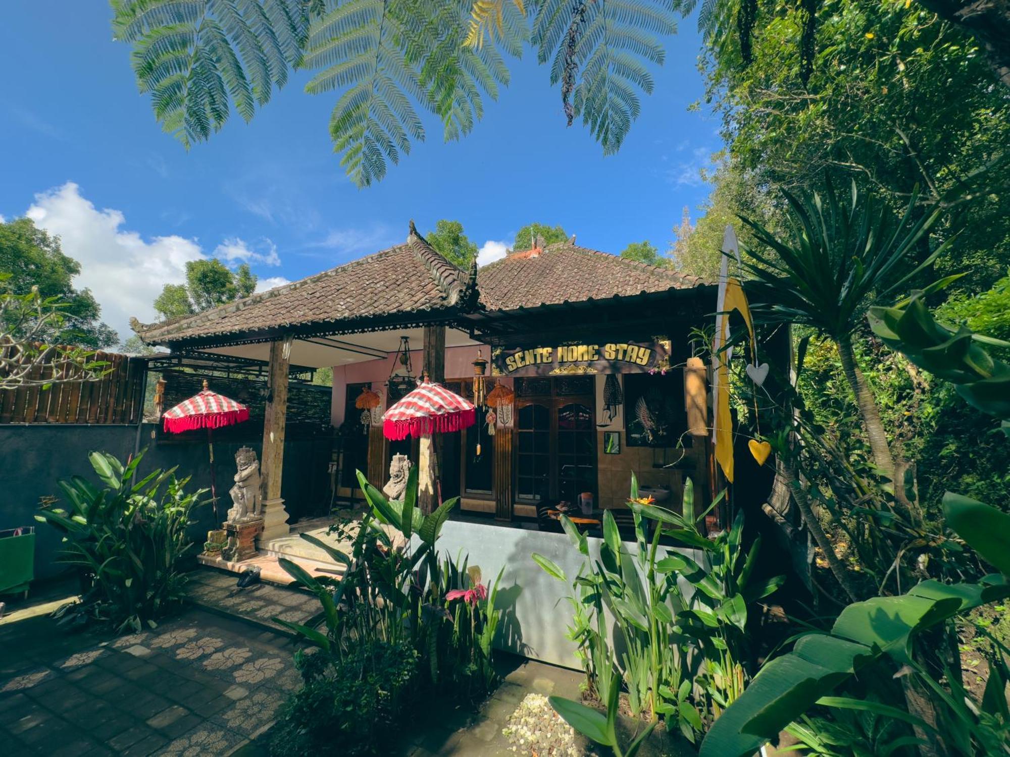 Homestay Sente Munduk Dış mekan fotoğraf