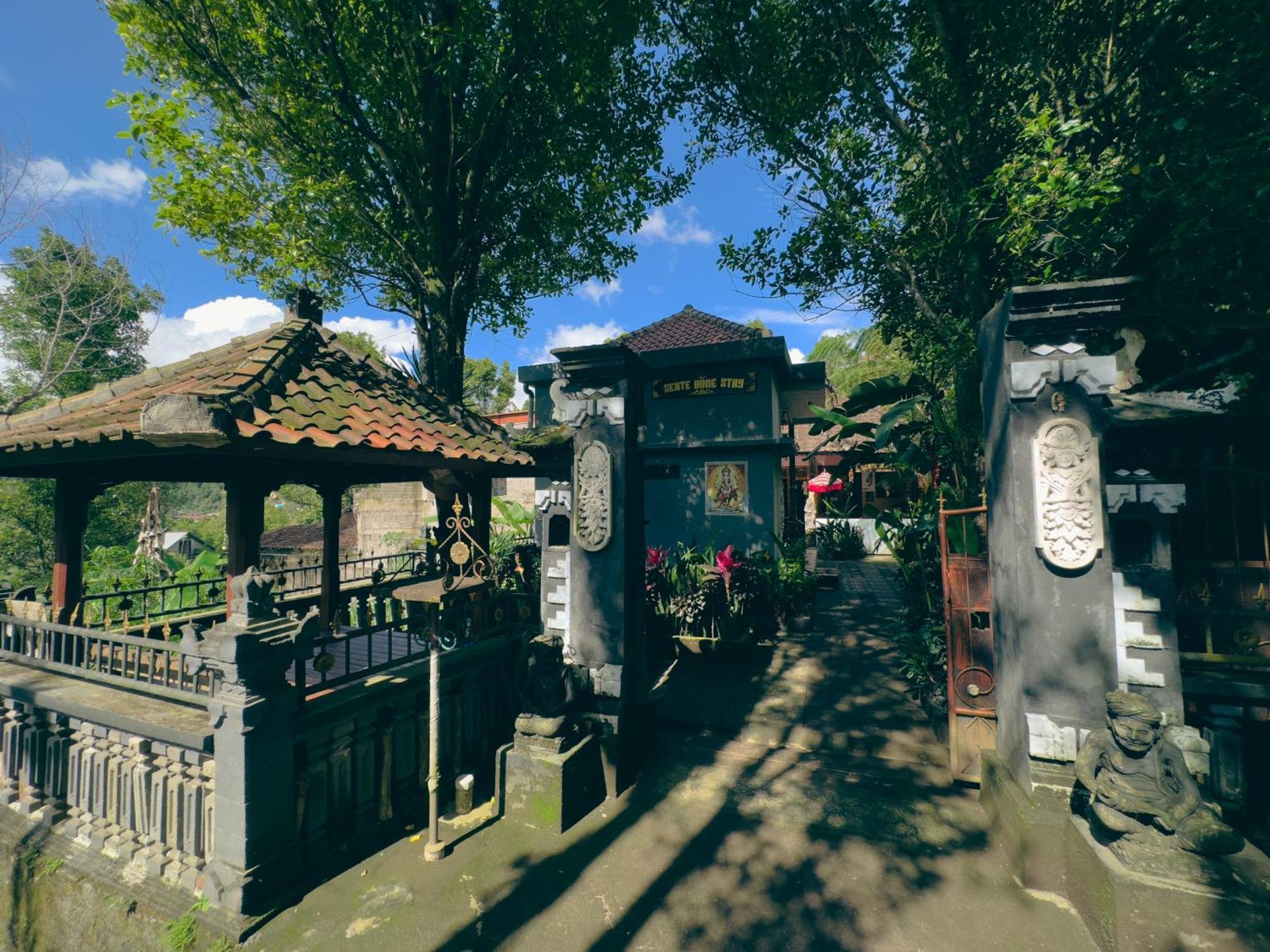 Homestay Sente Munduk Dış mekan fotoğraf
