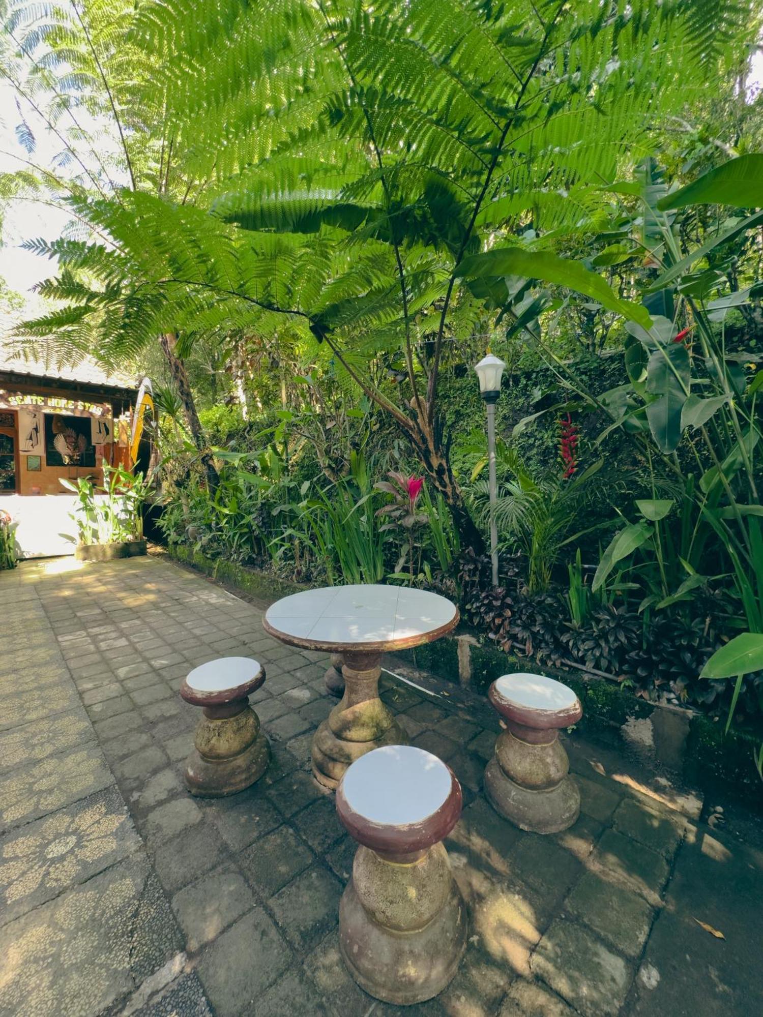 Homestay Sente Munduk Dış mekan fotoğraf