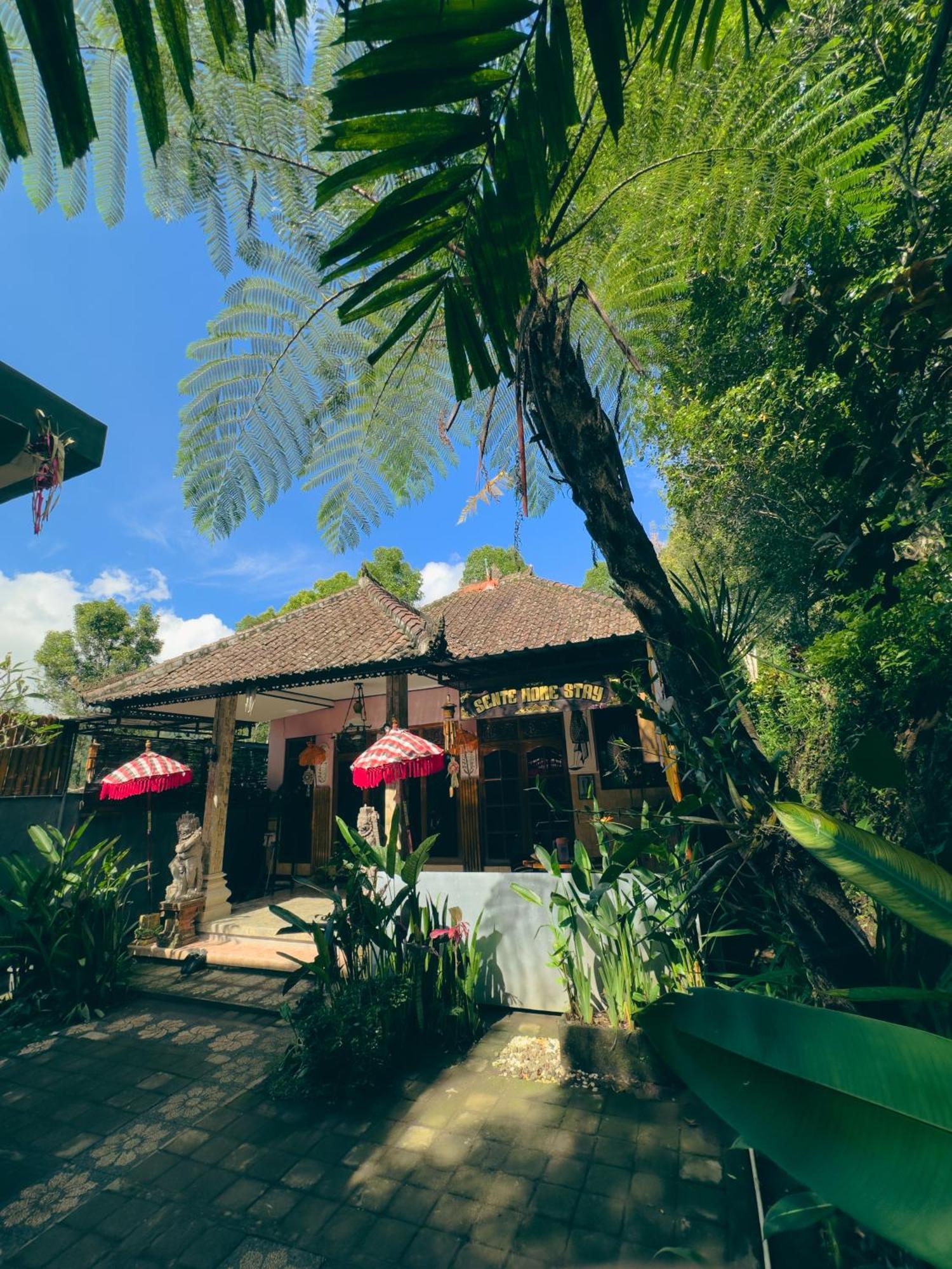 Homestay Sente Munduk Dış mekan fotoğraf